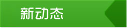 動(dòng)態(tài)